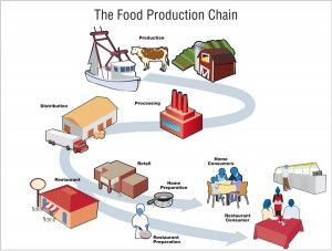 food_production_chain_900px